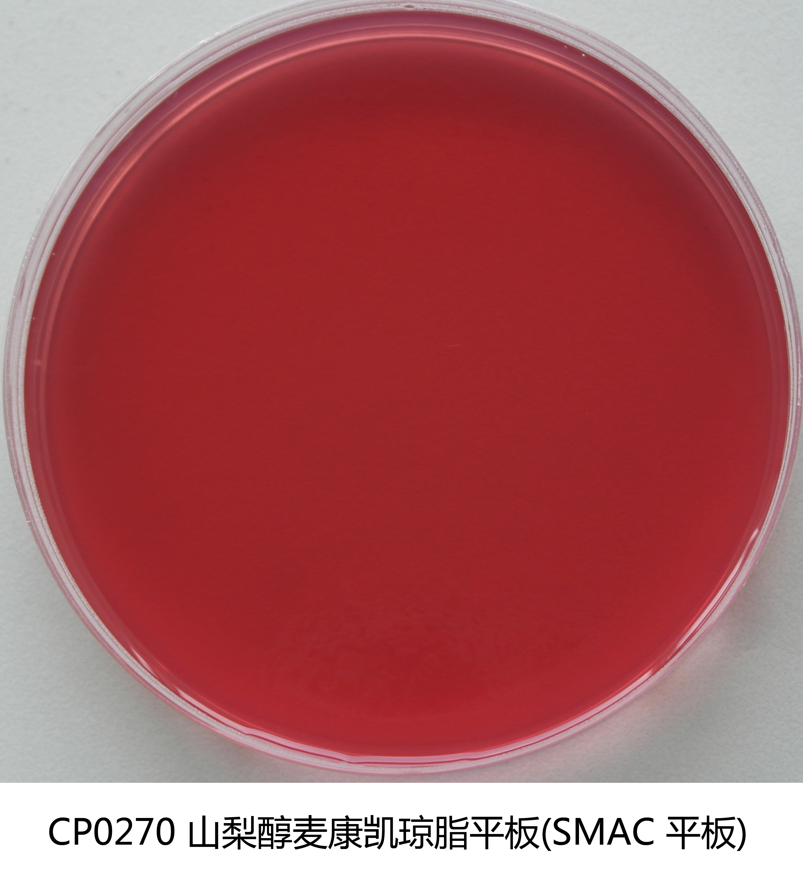 山梨醇麥康凱(SMAC)瓊脂平板